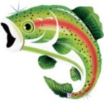 Rainbow Trout 29 inch 85655